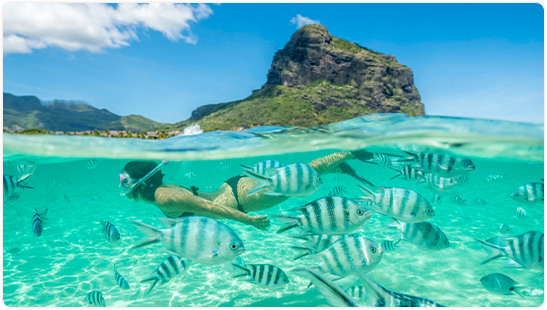 Mauritius Expedition